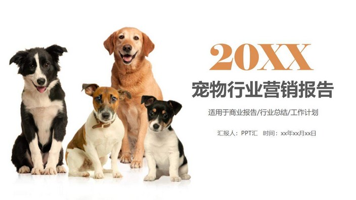 2023宠物行业营销报告商业创业计划书PPT模板