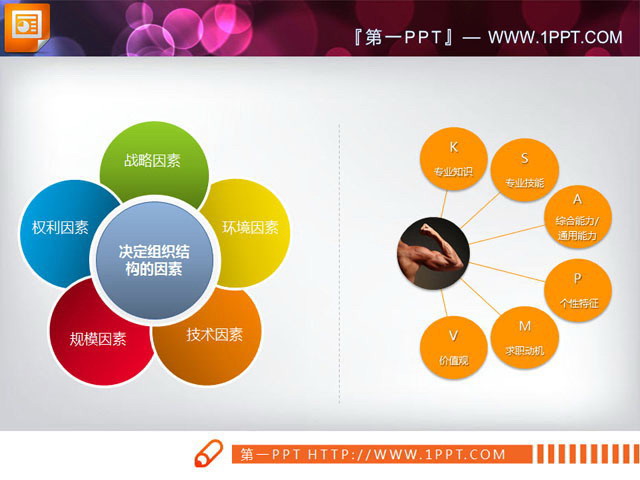 精美实用的PowerPoint并列关系图表模板下载