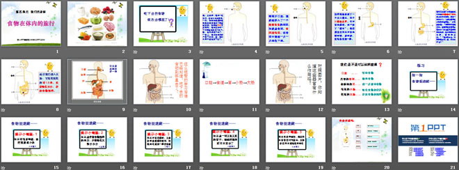 《食物在体内的旅行》我们的身体PPT课件2