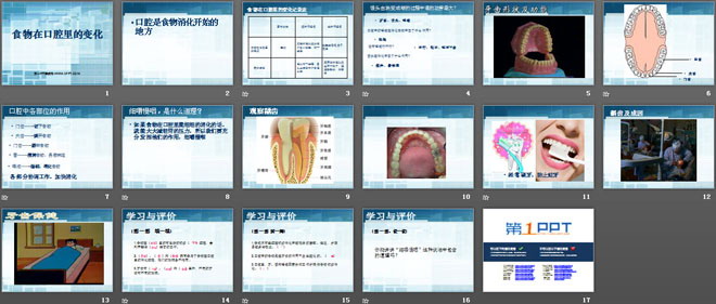 《食物在口腔里的变化》我们的身体PPT课件2