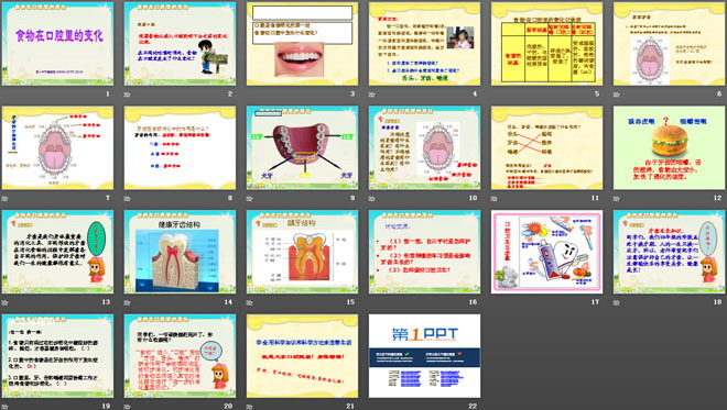 《食物在口腔里的变化》我们的身体PPT课件4