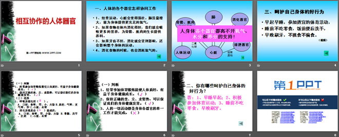 《相互协作的人体器官》我们的身体PPT课件2