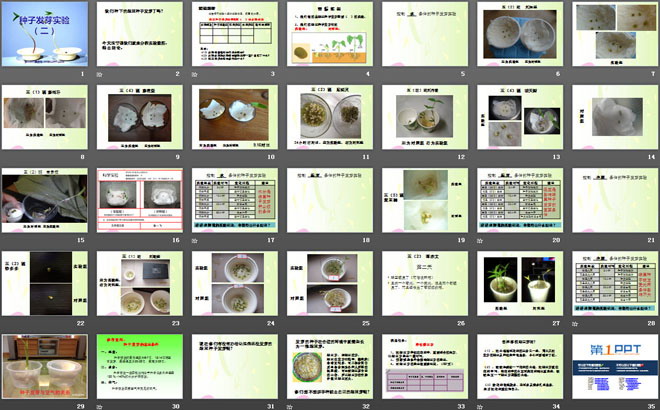 《种子发芽实验(二)》生物与环境PPT课件