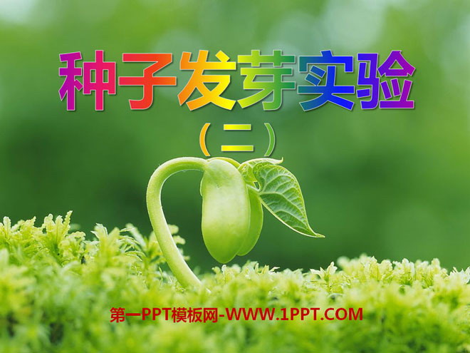 《种子发芽实验(二)》生物与环境PPT课件2