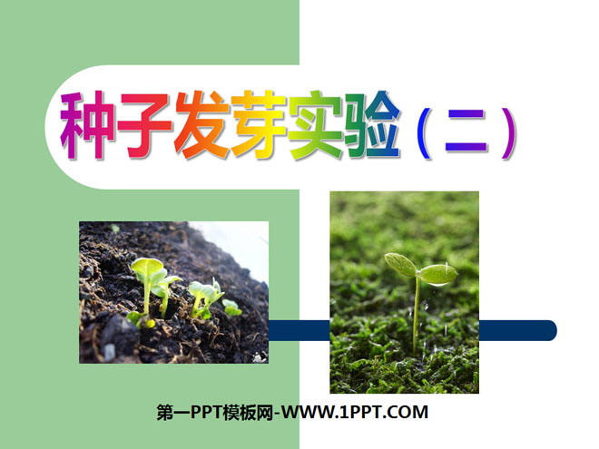 《种子发芽实验(二)》生物与环境PPT课件3