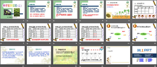 《种子发芽实验(二)》生物与环境PPT课件3