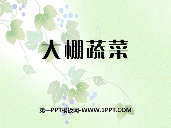 《大棚蔬菜》农田PPT课件2