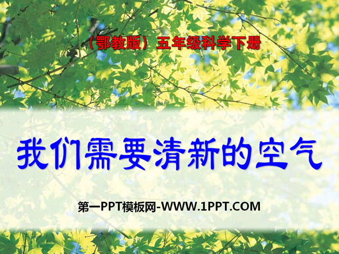 《我们需要清新的空气》PPT课件3