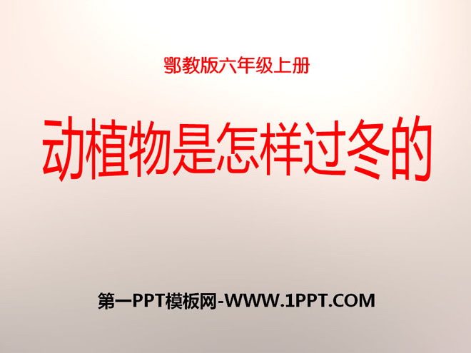 《动植物是怎样过冬的》四季中的变化PPT课件