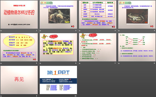 《动植物是怎样过冬的》四季中的变化PPT课件