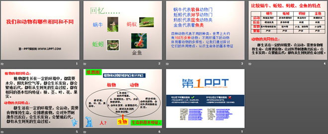 《我们和动物有哪些相同和不同》动物的生活PPT课件