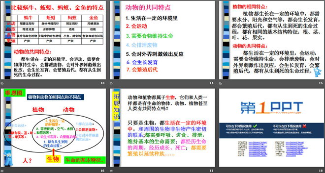 《我们和动物有哪些相同和不同》动物的生活PPT课件2