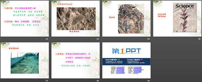 《多样的岩石》蓝色的地球PPT课件2