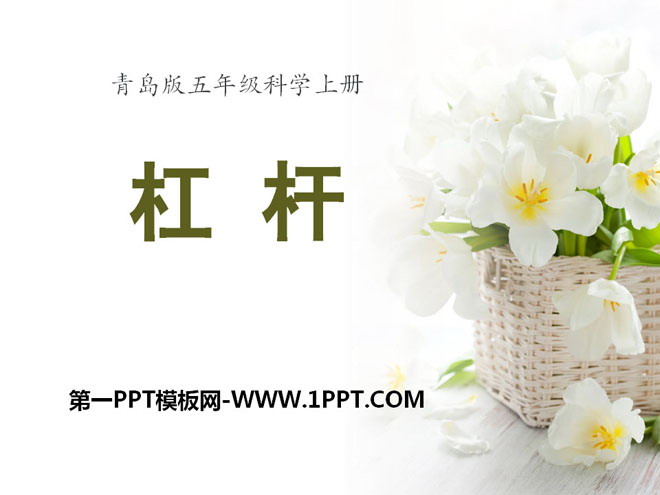 《杠杆》PPT