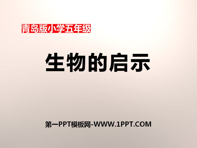 《生物的启示》PPT