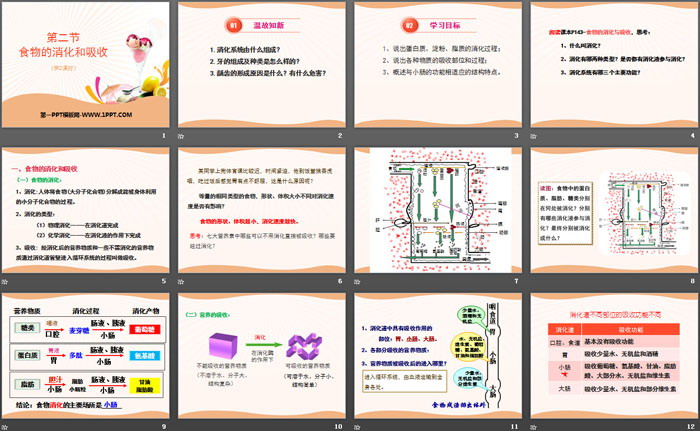 《食物的消化与吸收》PPT(第二课时)