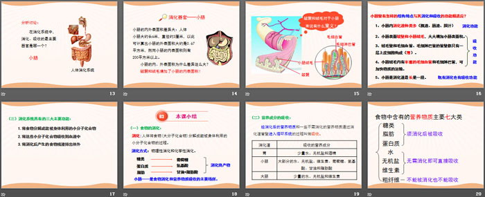 《食物的消化与吸收》PPT(第二课时)