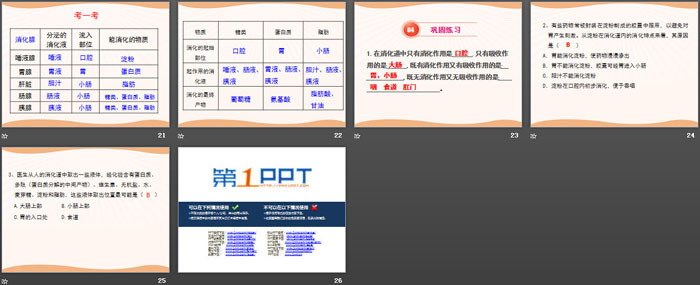 《食物的消化与吸收》PPT(第二课时)