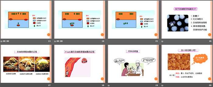 《体内物质的运输》PPT(第一课时)