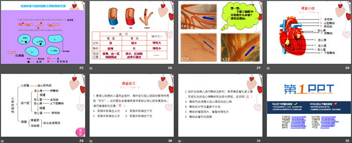 《体内物质的运输》PPT(第二课时)