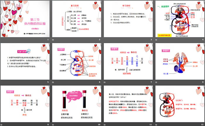 《体内物质的运输》PPT(第三课时)