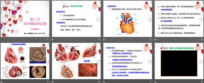 《体内物质的运输》PPT(实验课)