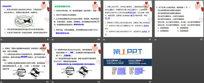 《体内物质的运输》PPT(实验课)