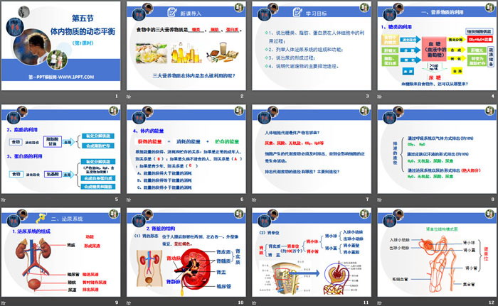 《体内物质的动态平衡》PPT