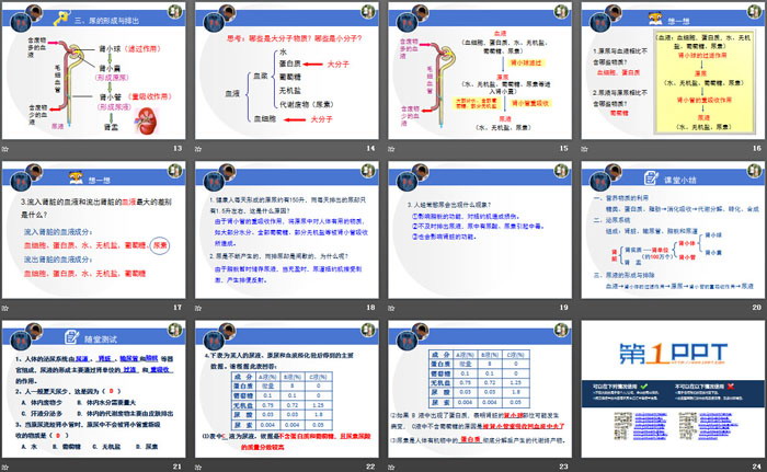 《体内物质的动态平衡》PPT