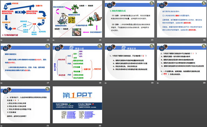 《体内物质的动态平衡》PPT(第二课时)