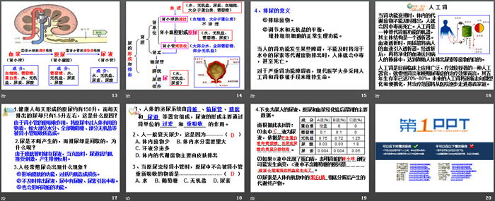 《体内物质的动态平衡》PPT下载