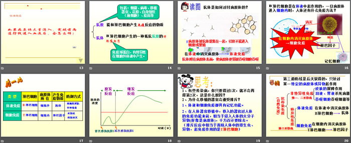 《身体的防卫》PPT