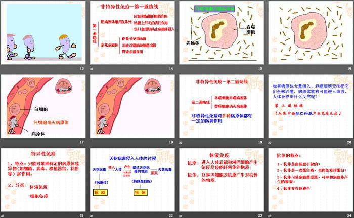 《身体的防卫》PPT课件