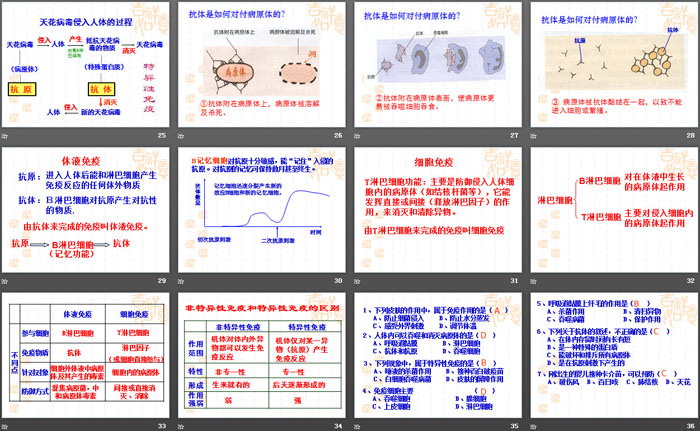 《身体的防卫》PPT课件