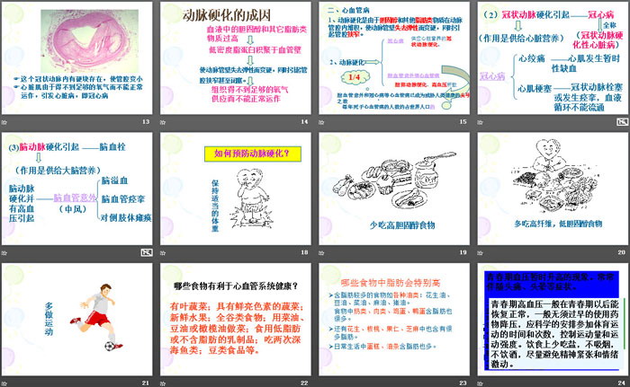 《非传染性疾病》PPT