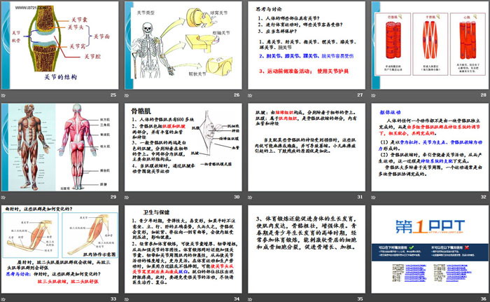 《人的运动系统和保健》PPT