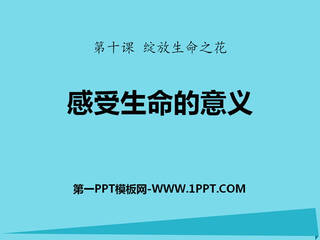 《感受生命的意义》PPT