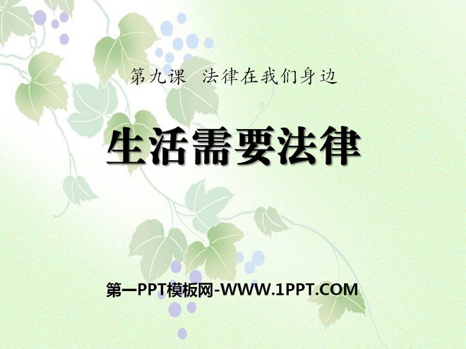 《生活需要法律》PPT课件下载