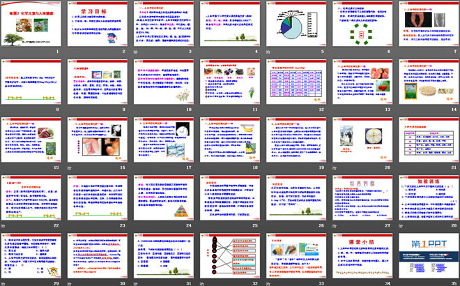 《化学元素与人体健康》化学与生活PPT课件2