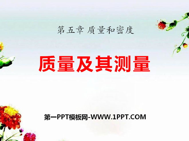 《质量及其测量》质量和密度PPT课件2