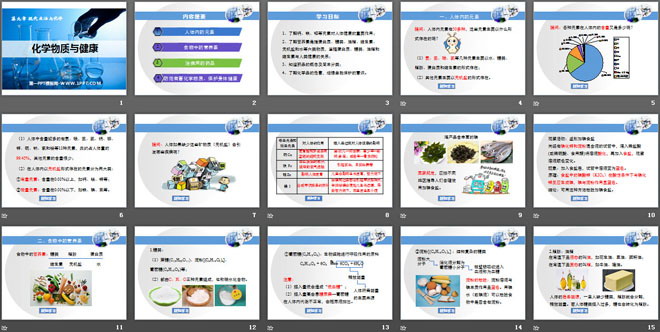 《化学物质与健康》现代生活与化学PPT课件2