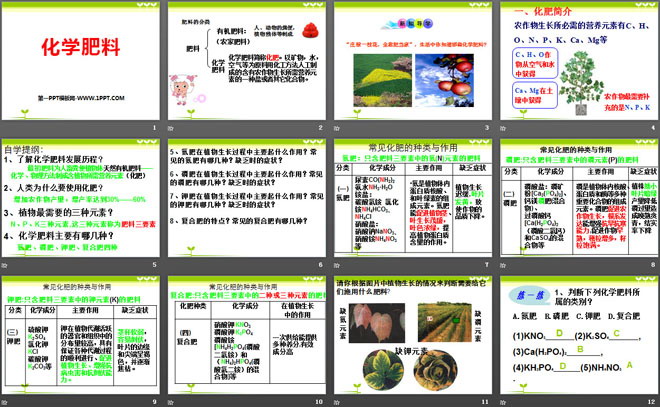 《化学肥料》盐PPT课件2