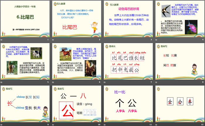 《比尾巴》PPT