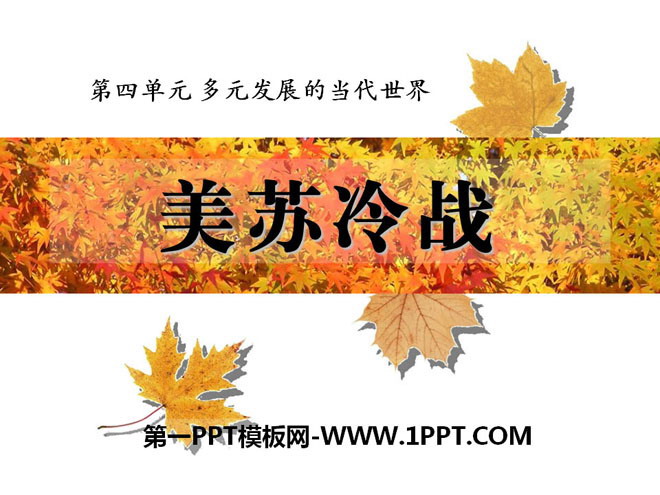 《美苏冷战》多元发展的当代世界PPT课件4