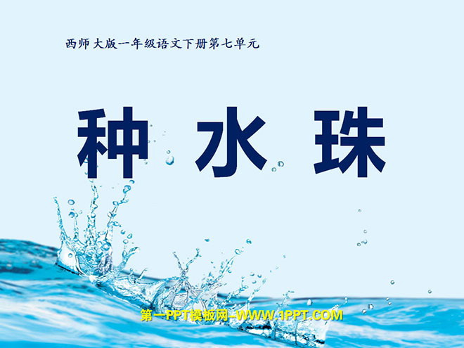 《种水珠》PPT课件