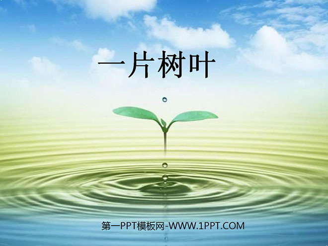 《一片树叶》PPT课件2