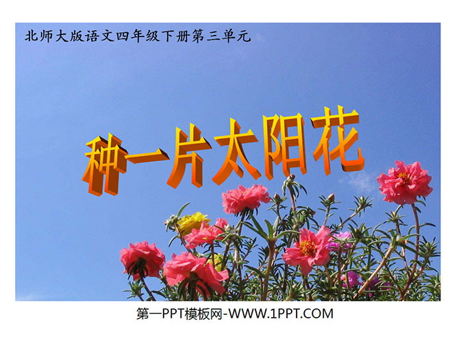 《种一片太阳花》PPT课件4