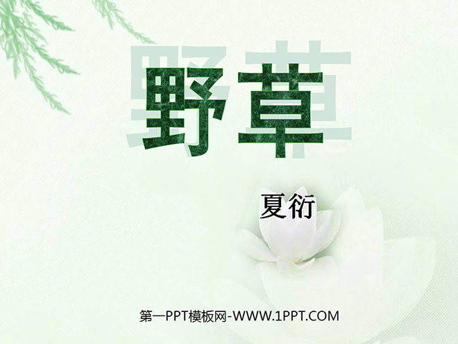 《野草》PPT课件5