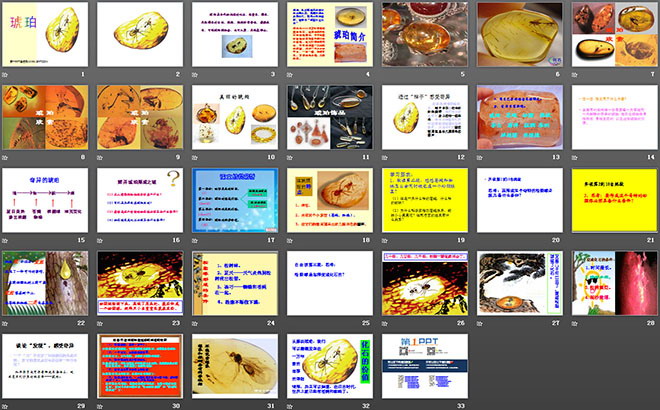 《琥珀》PPT课件2