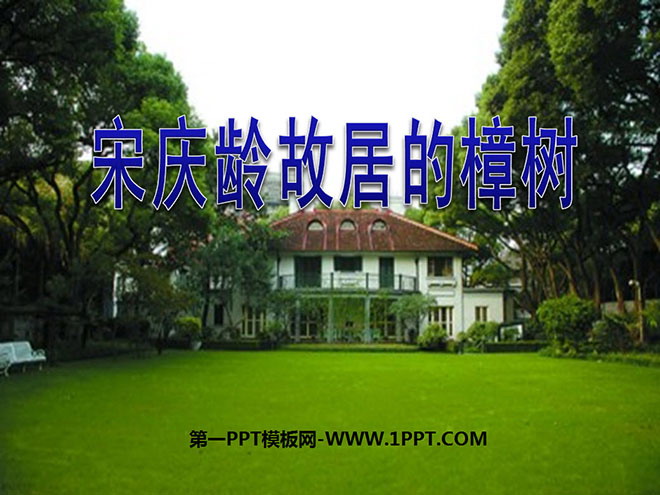 《宋庆龄故居的樟树》PPT课件4